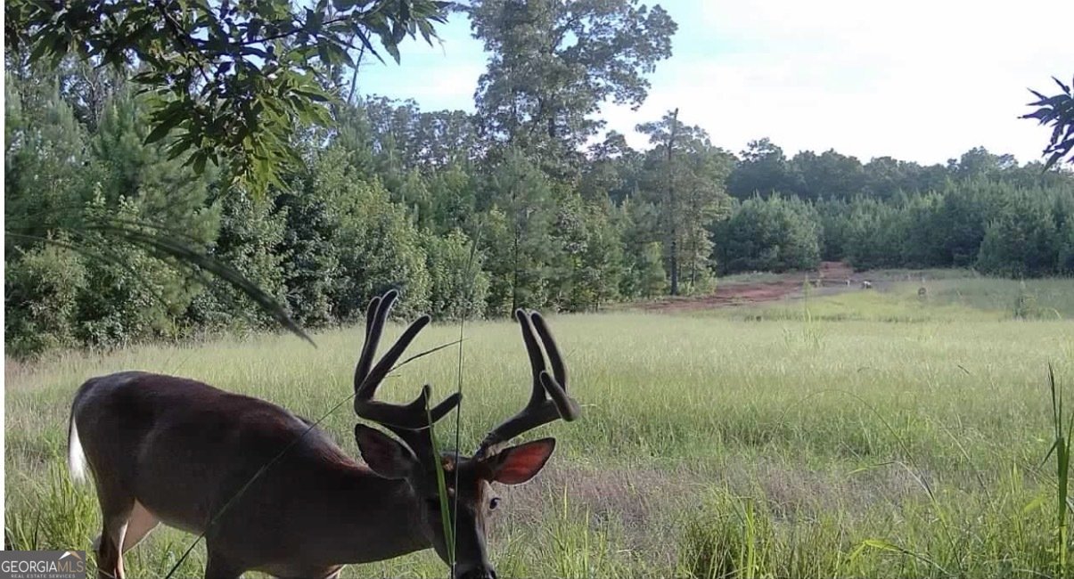 153 Highland Circle Flovilla - Photo 42