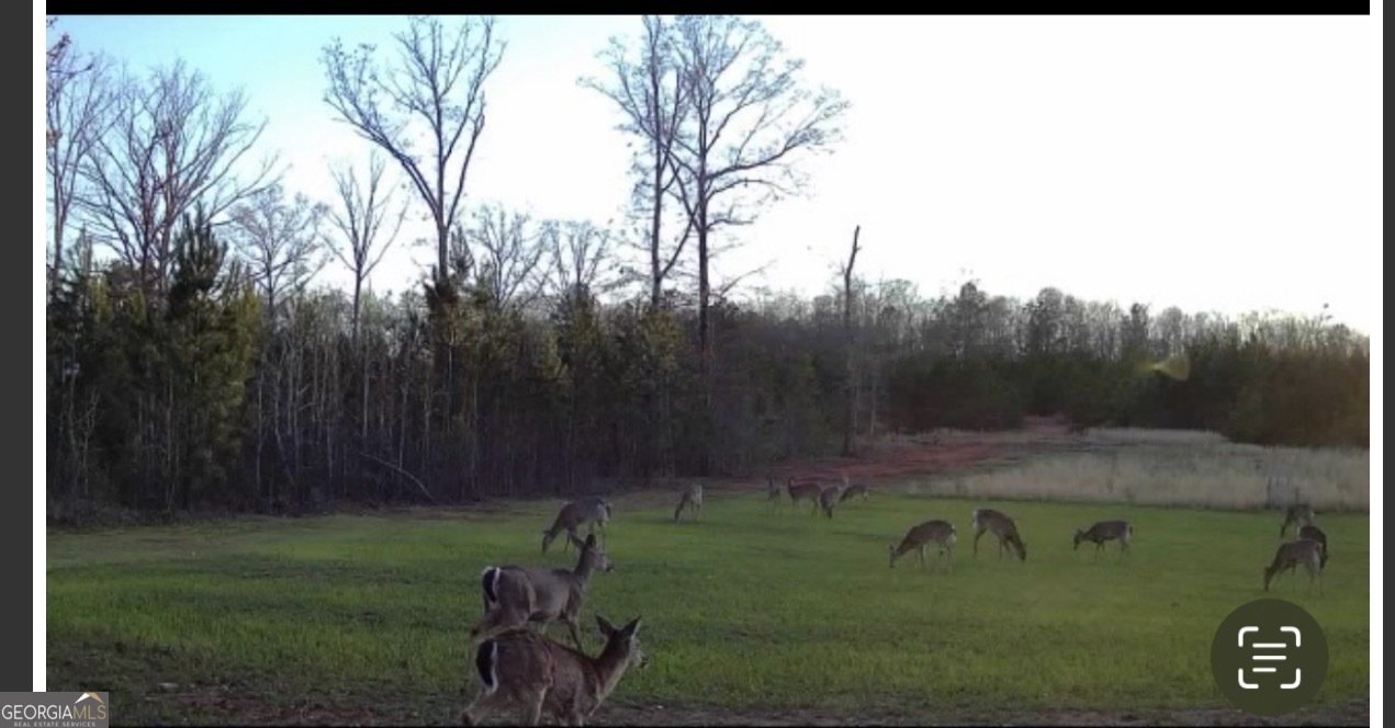 153 Highland Circle Flovilla - Photo 43