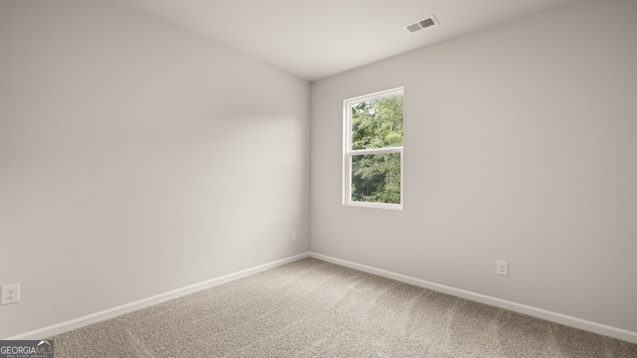 825 Trillium Drive Locust Grove - Photo 19