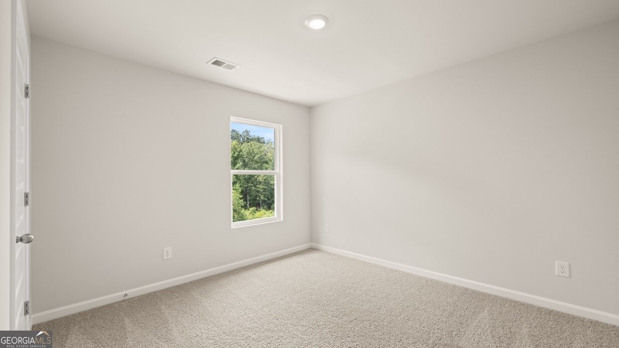 825 Trillium Drive Locust Grove - Photo 34