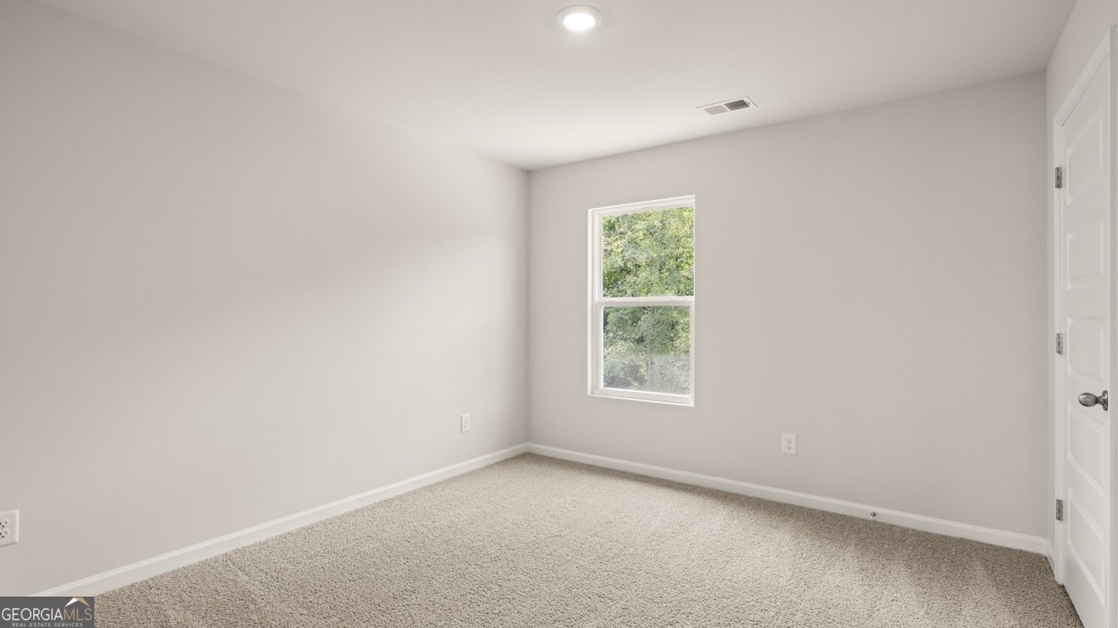 825 Trillium Drive Locust Grove - Photo 38