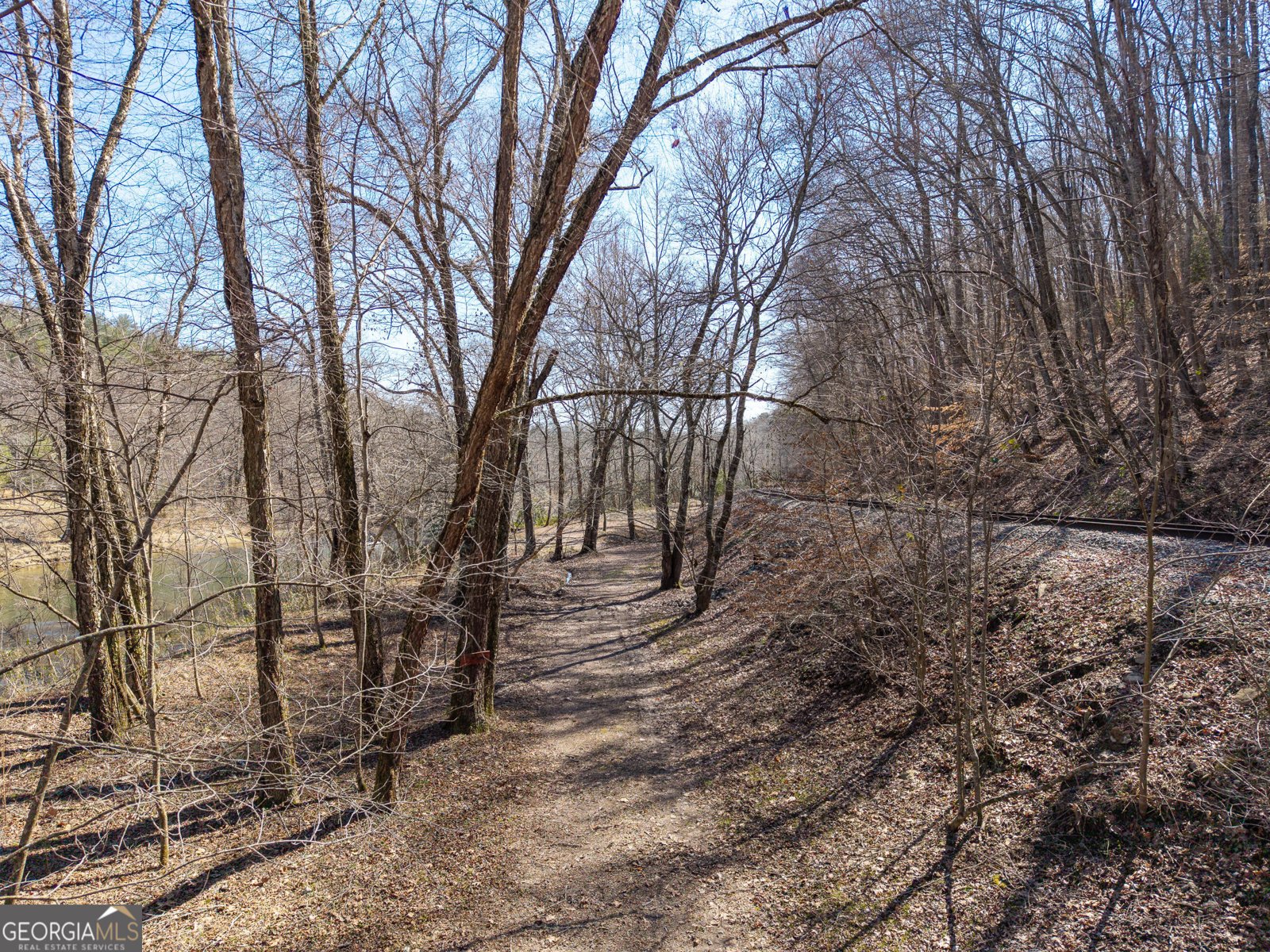 605 Toccoa Preserve Lane Blue Ridge - Photo 34