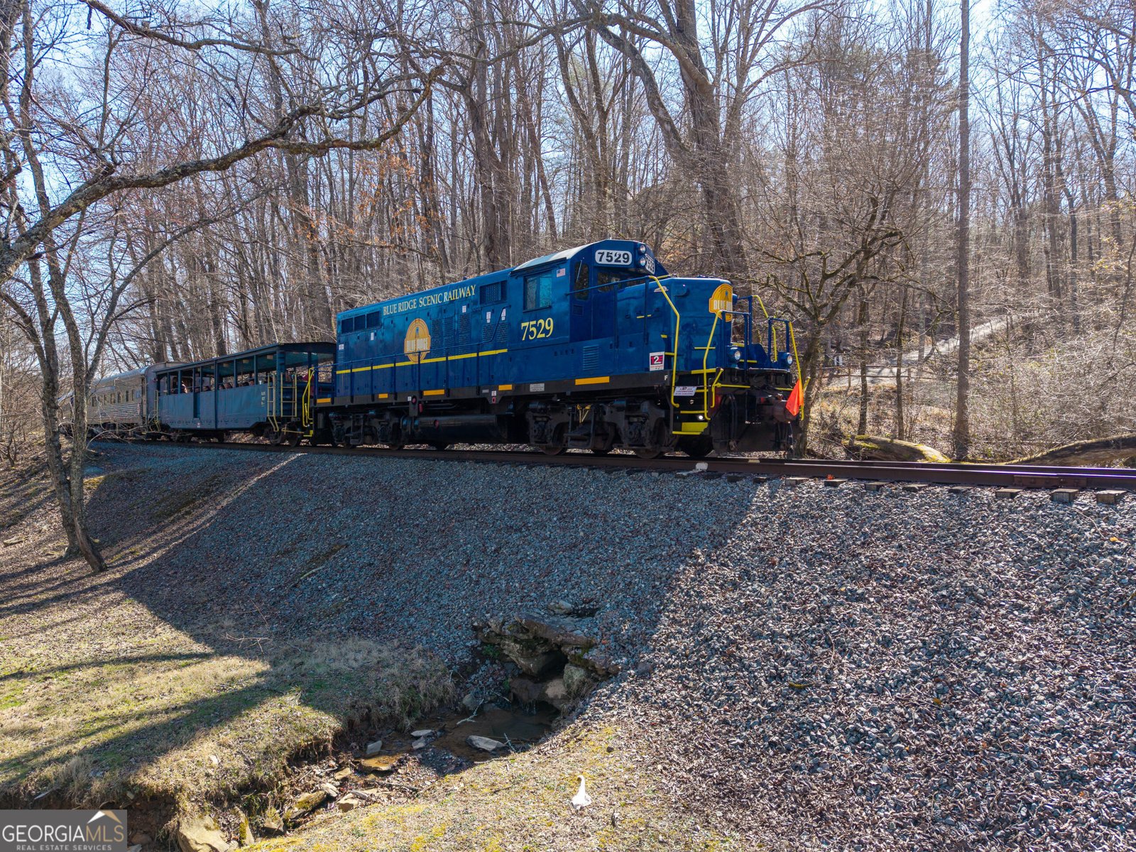 605 Toccoa Preserve Lane Blue Ridge - Photo 37