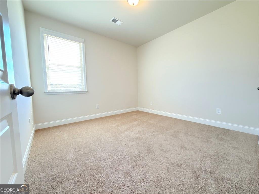 470 HELLEN VALLEY Drive Braselton - Photo 22