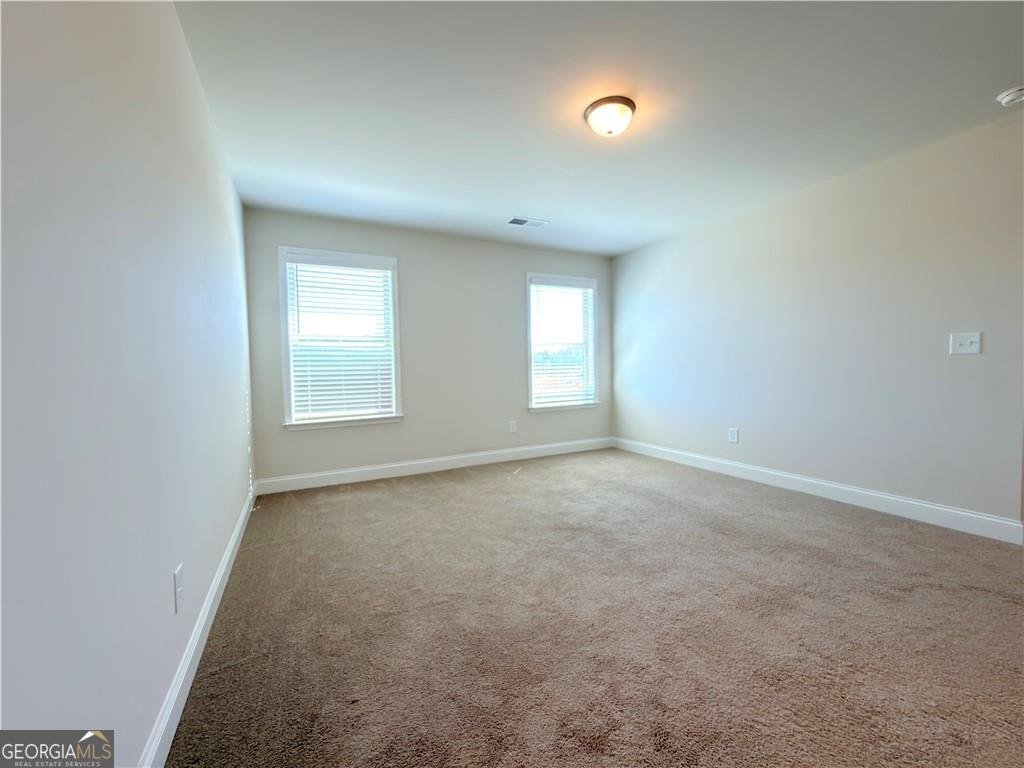 470 HELLEN VALLEY Drive Braselton - Photo 28