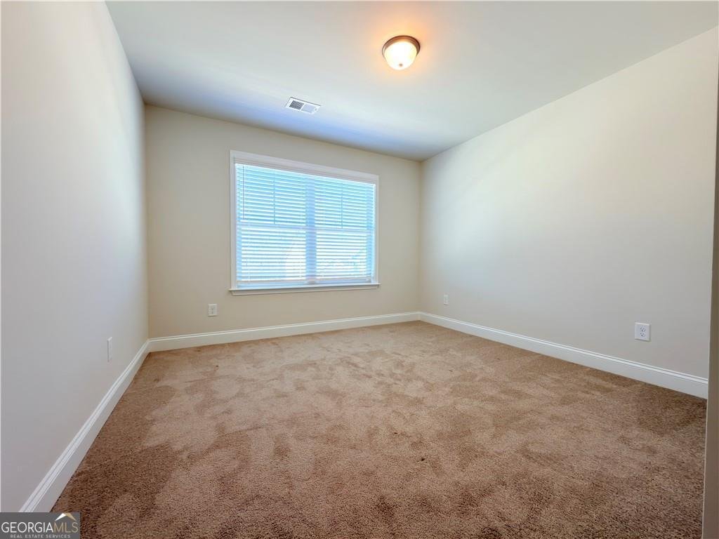 470 HELLEN VALLEY Drive Braselton - Photo 48