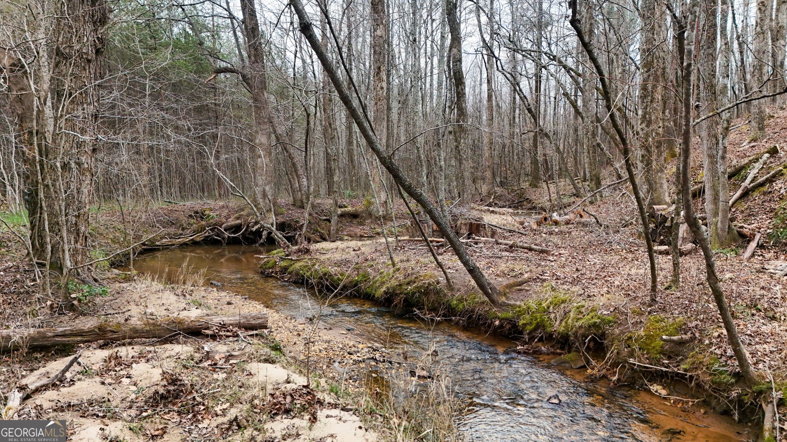 354 Prairie Flower Drive Cleveland - Photo 47