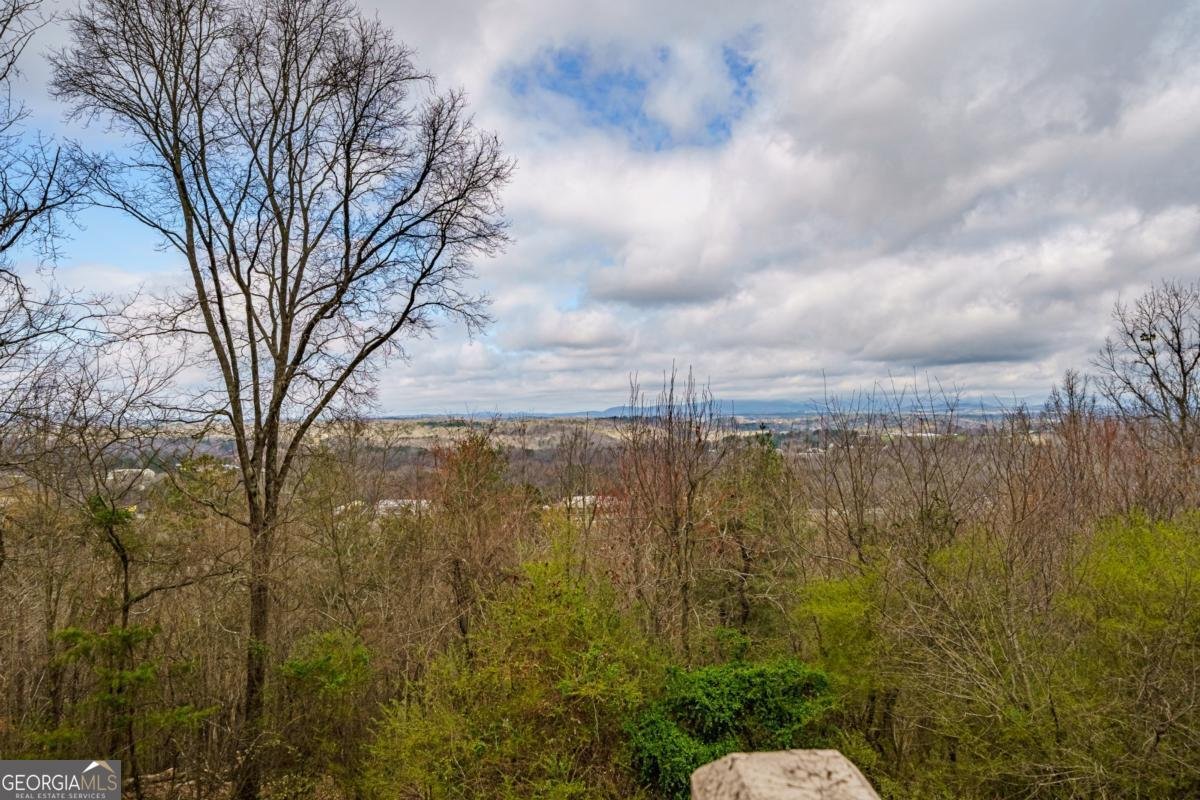 624 Talona Mountain Road Ellijay - Photo 37