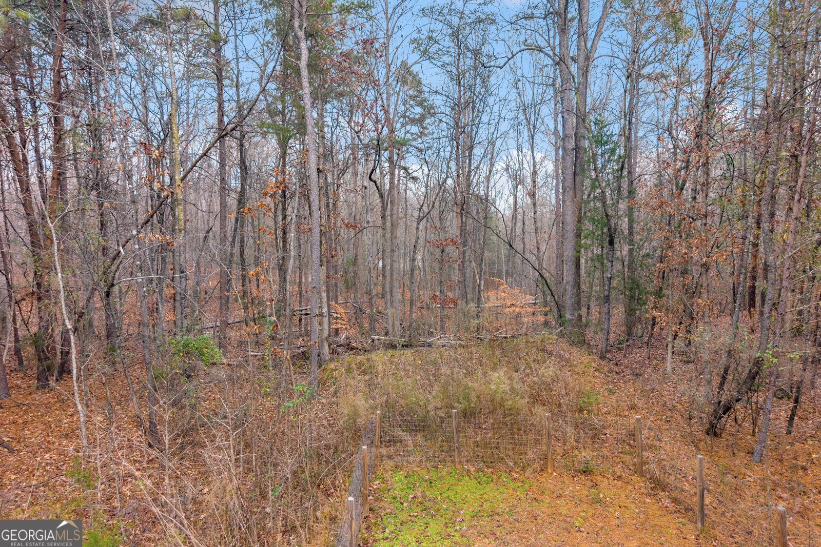 473 Chandler Place Drive Lavonia - Photo 8