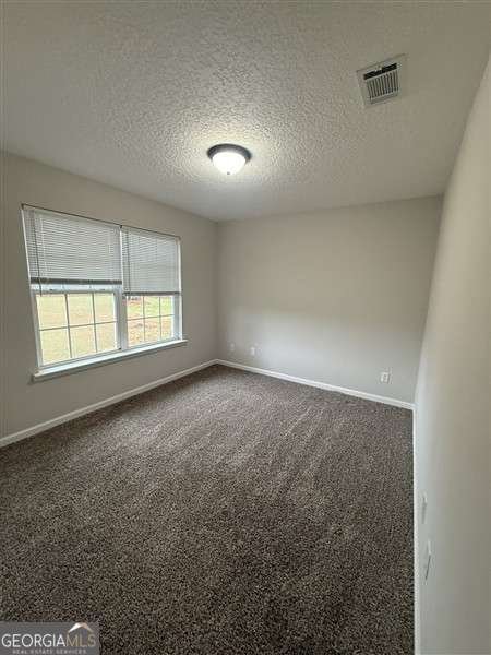 281 Mill Pond Lane Ludowici - Photo 23