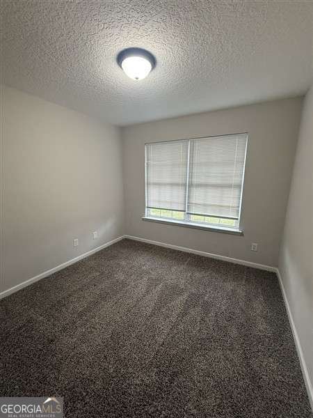 281 Mill Pond Lane Ludowici - Photo 25