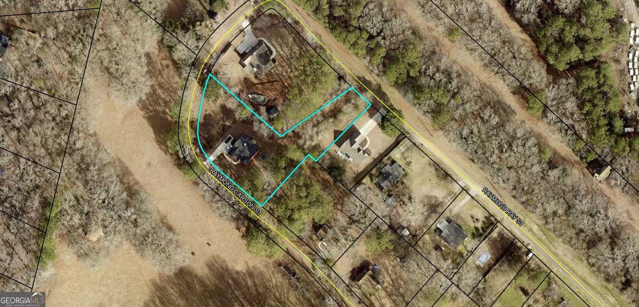 149 Raymond Carson Street Newnan - Photo 42