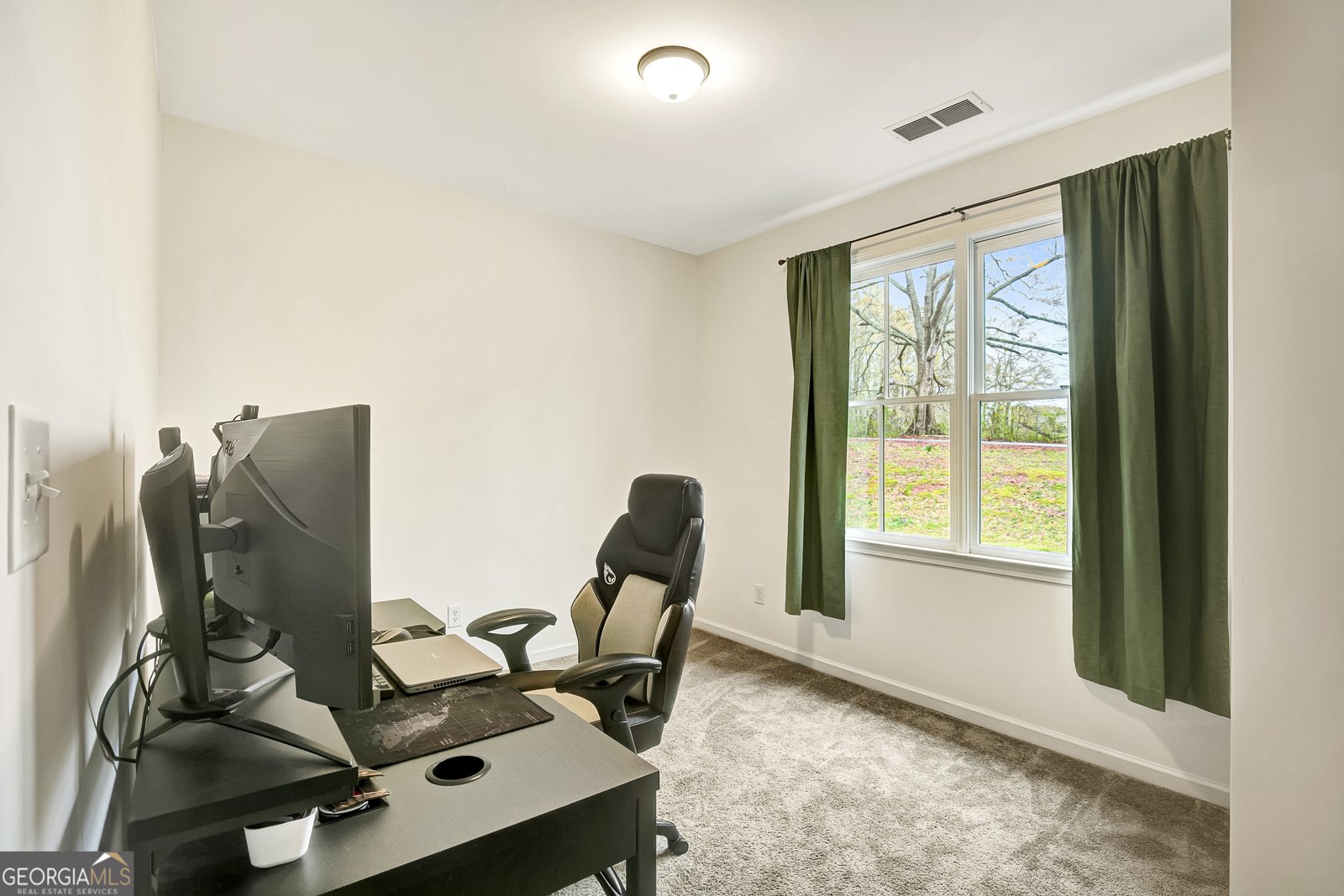 149 Raymond Carson Street Newnan - Photo 6