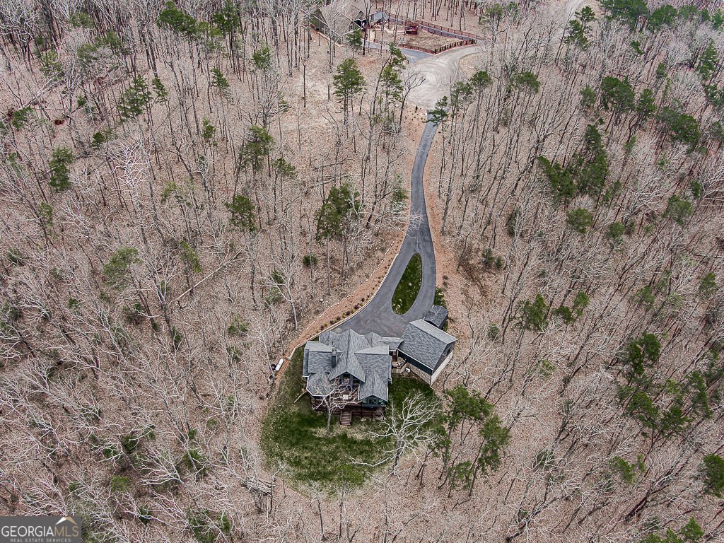 208 Weeks Drive Ellijay - Photo 11