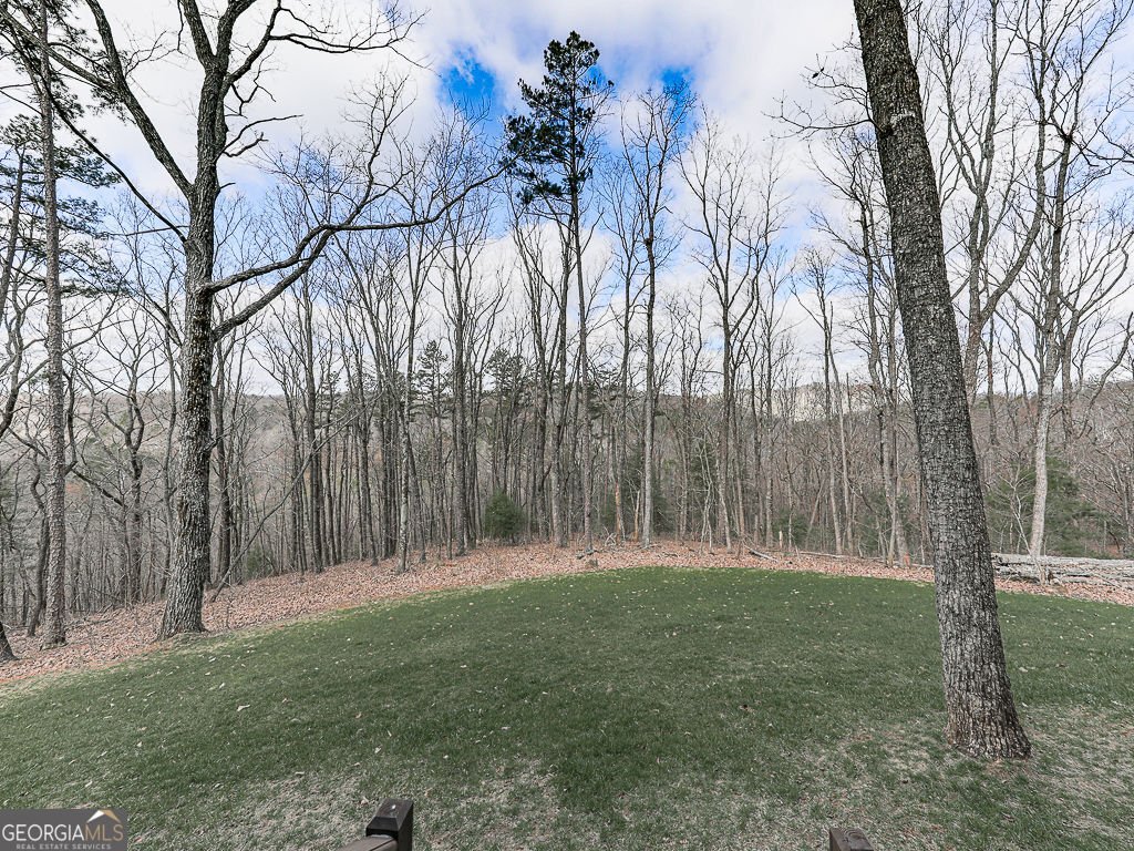 208 Weeks Drive Ellijay - Photo 12