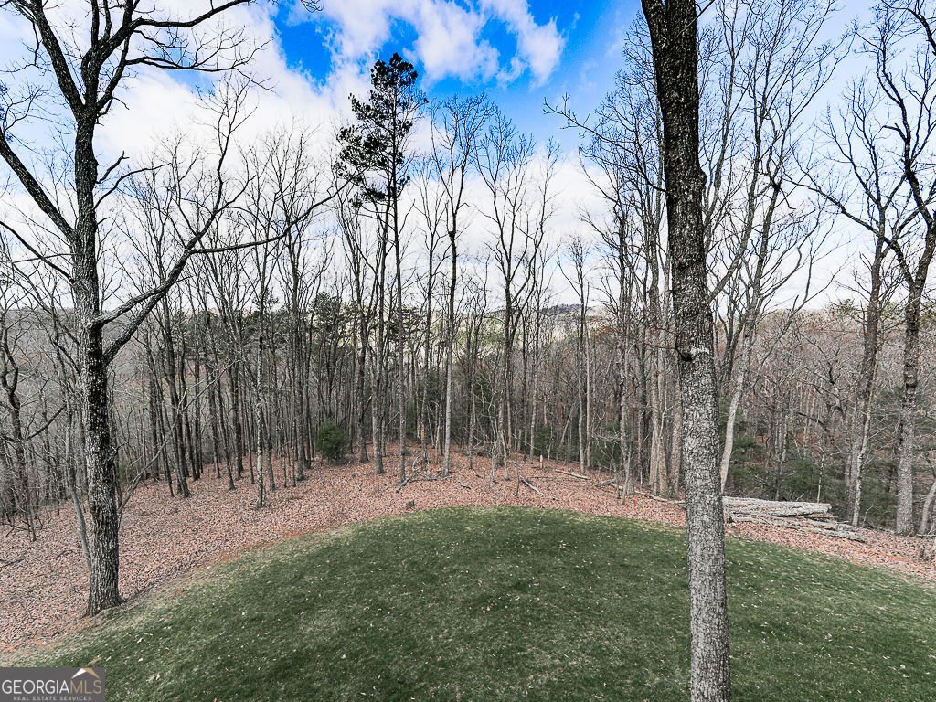 208 Weeks Drive Ellijay - Photo 13