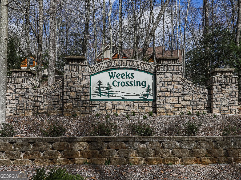 208 Weeks Drive Ellijay - Photo 53