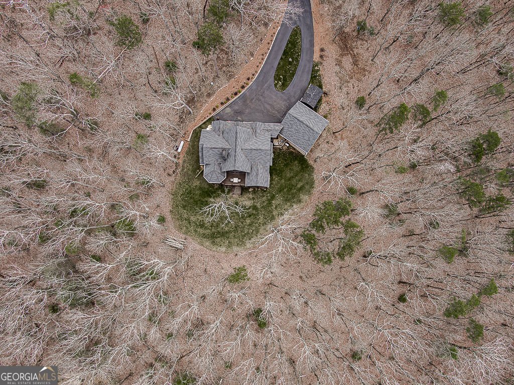 208 Weeks Drive Ellijay - Photo 9