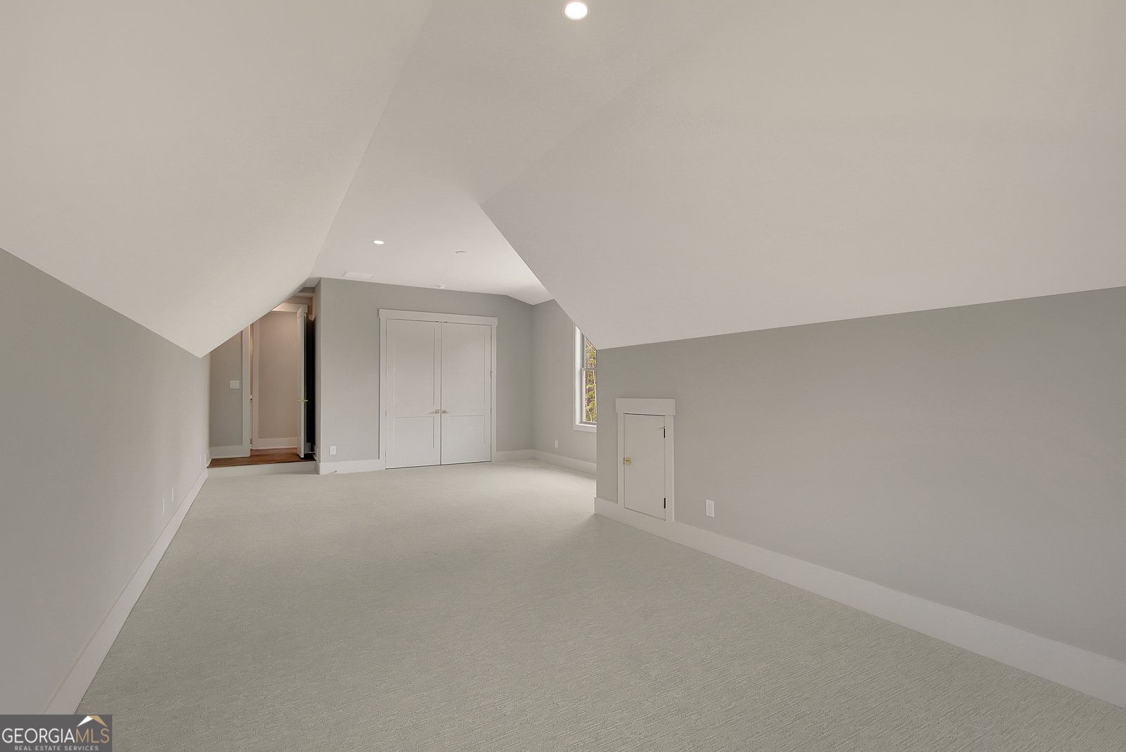 172 Forest Berry Court Newnan - Photo 46