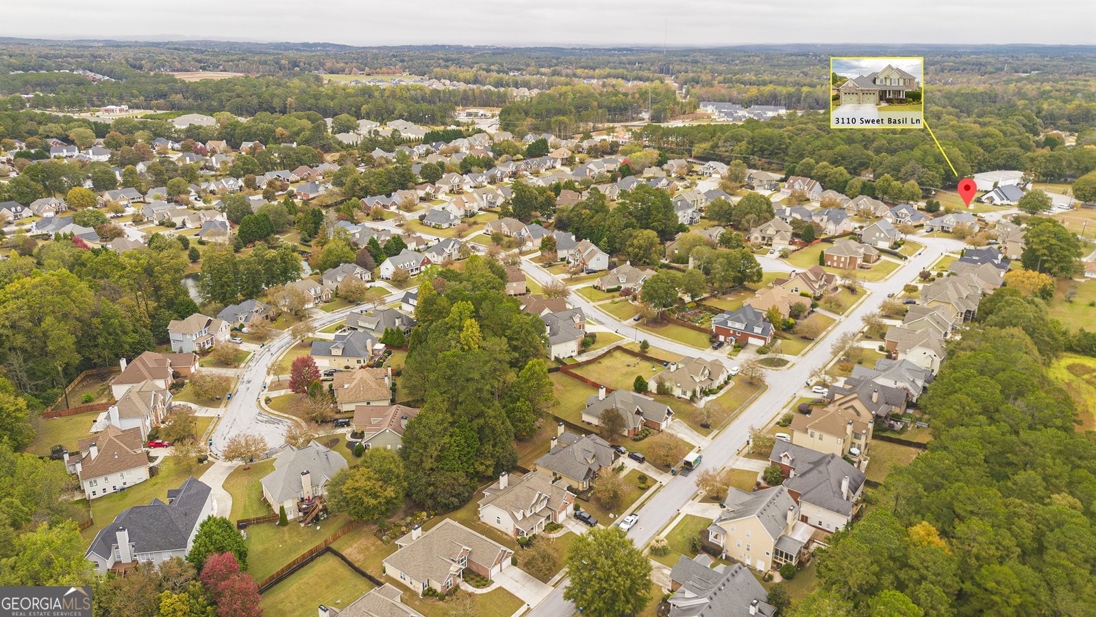 3110 Sweet Basil Lane Loganville - Photo 23