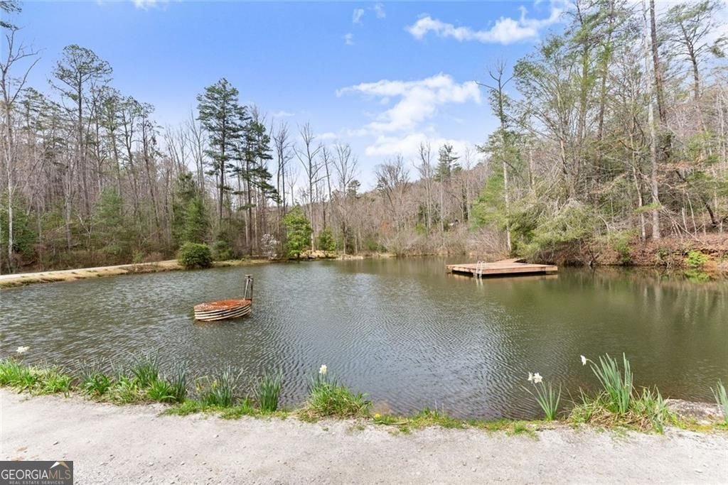 962 Watkins Field Road Clayton - Photo 53