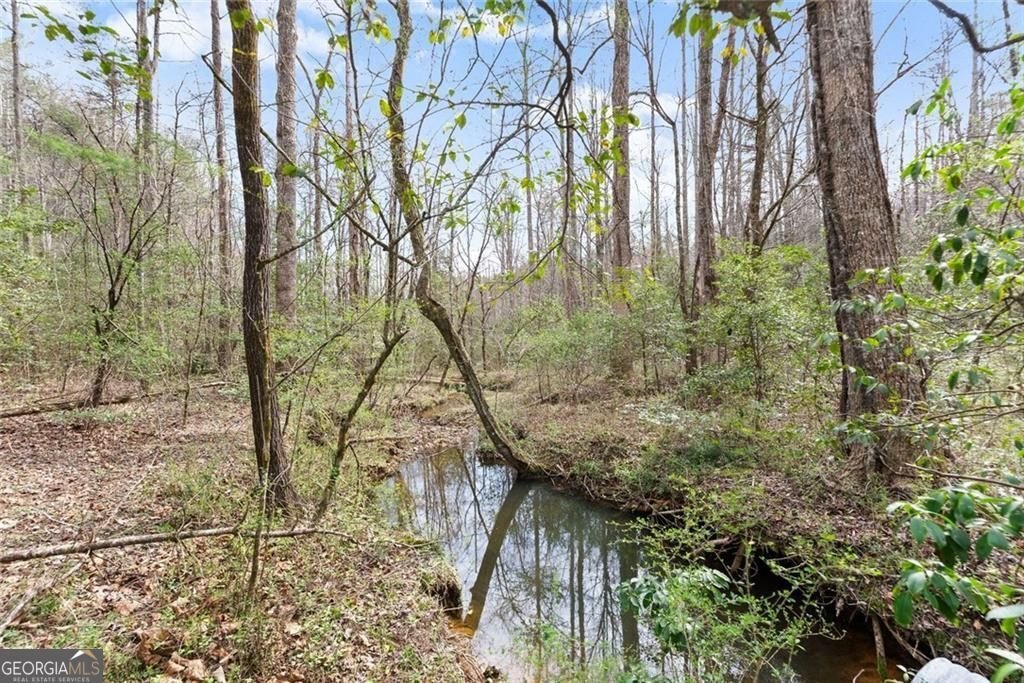 962 Watkins Field Road Clayton - Photo 54