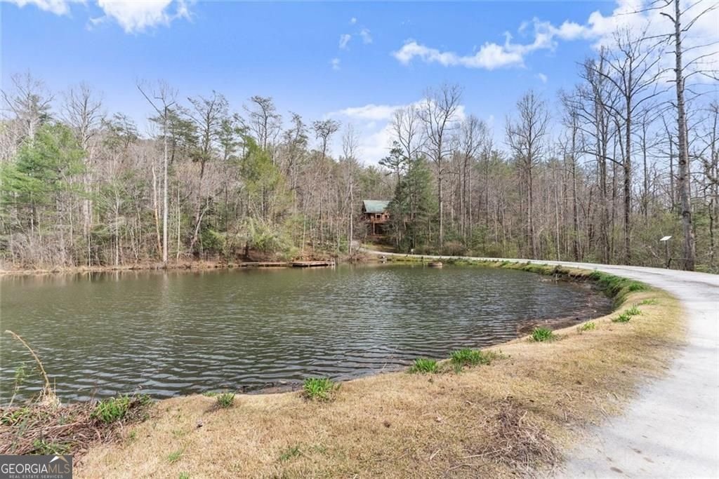 962 Watkins Field Road Clayton - Photo 55