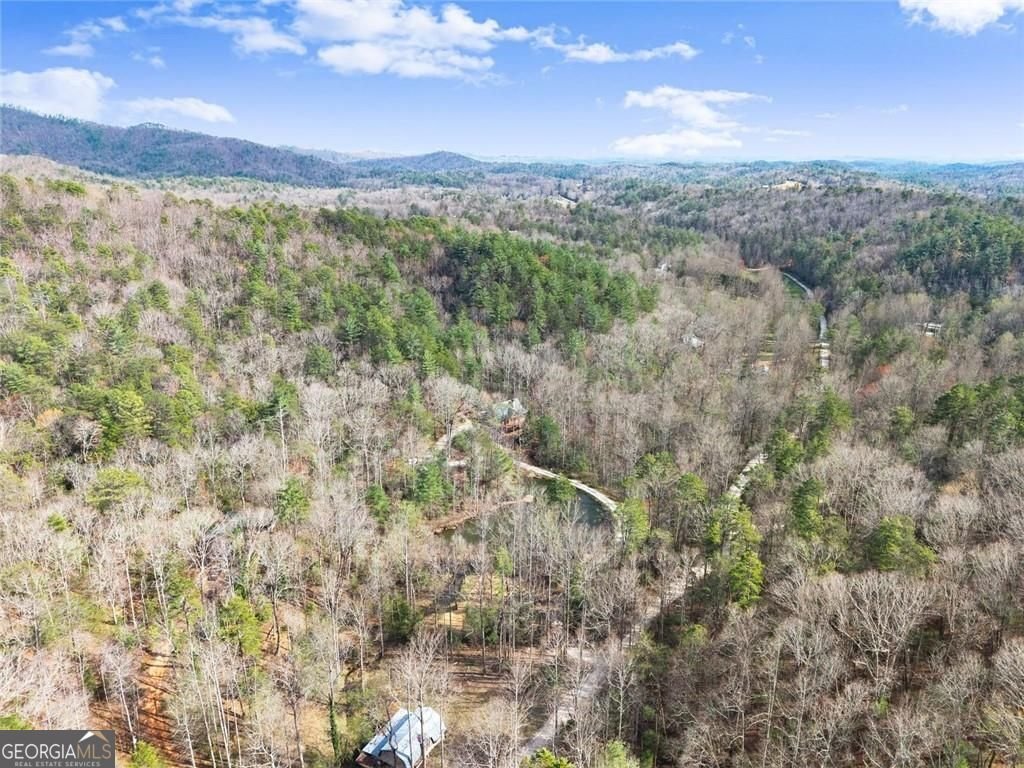 962 Watkins Field Road Clayton - Photo 64