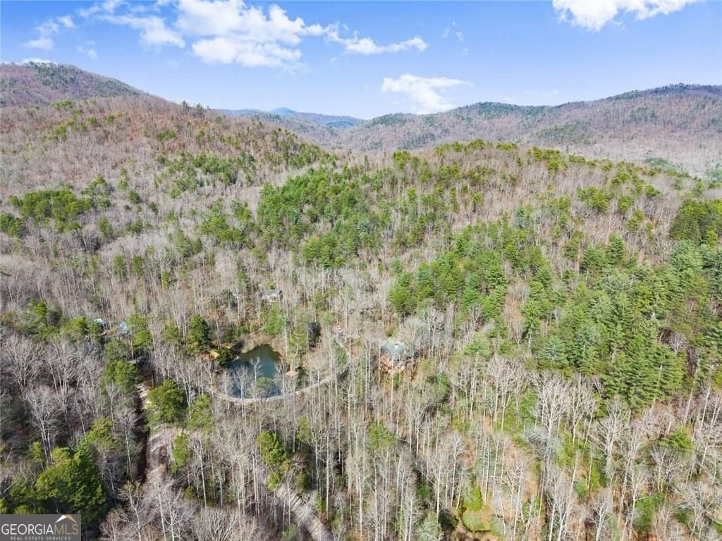 962 Watkins Field Road Clayton - Photo 66