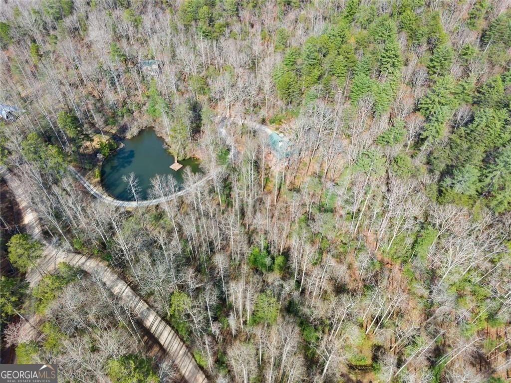 962 Watkins Field Road Clayton - Photo 68