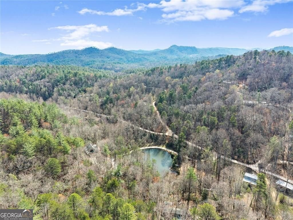 962 Watkins Field Road Clayton - Photo 69