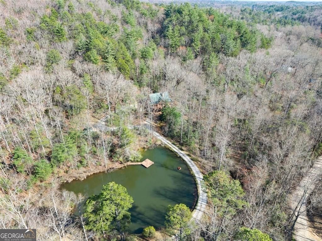 962 Watkins Field Road Clayton - Photo 70