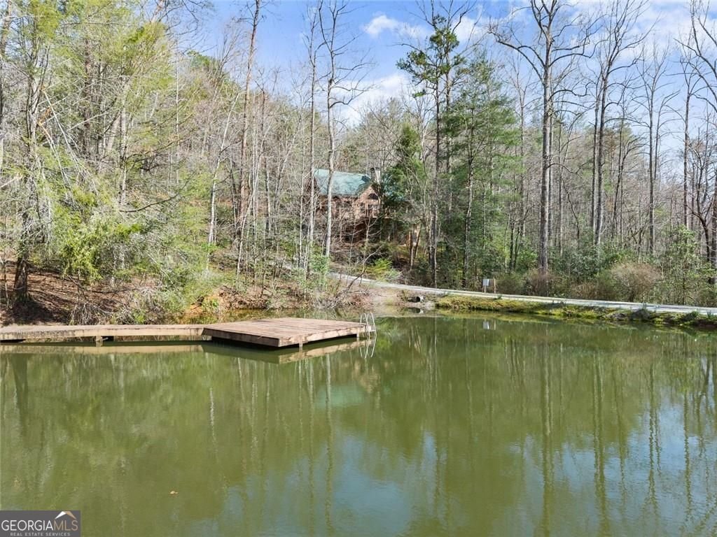 962 Watkins Field Road Clayton - Photo 71