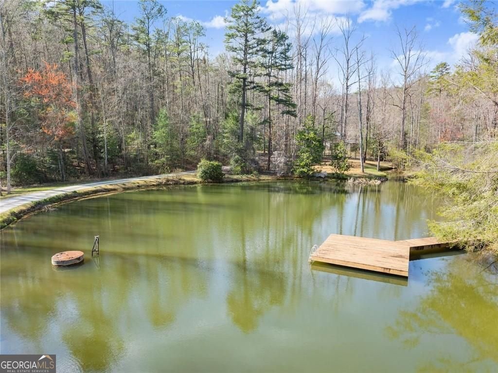 962 Watkins Field Road Clayton - Photo 73