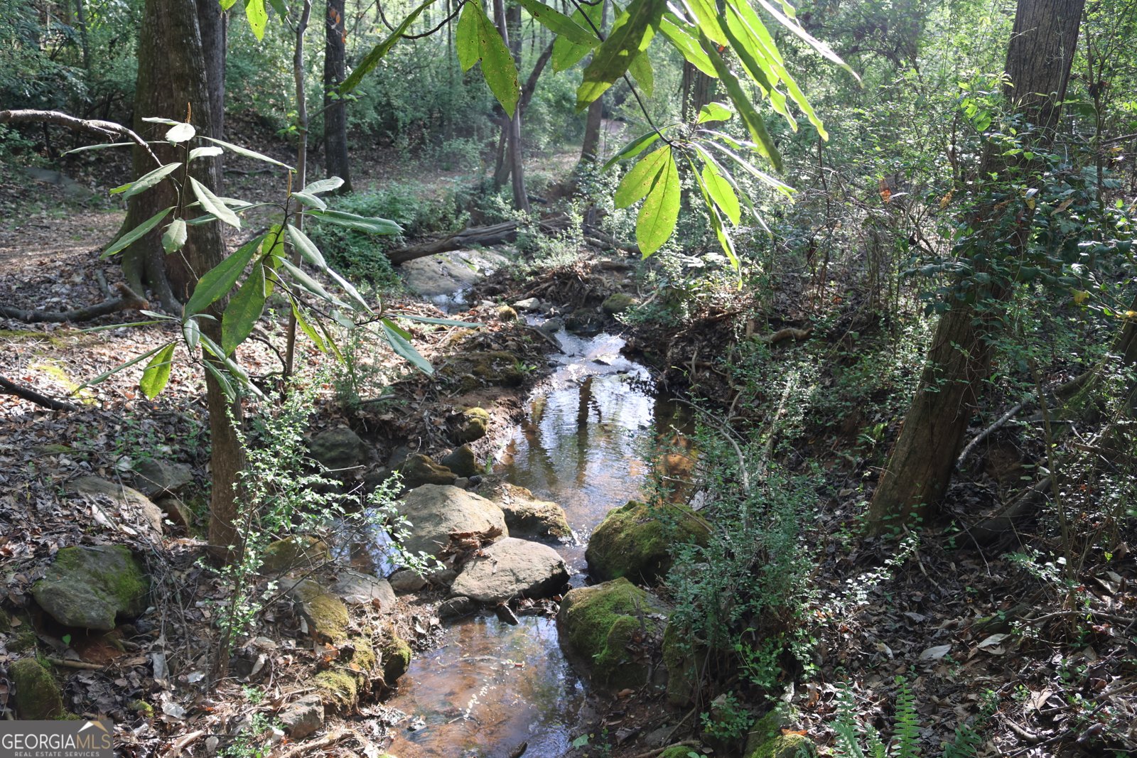 134 Fernbanks Court Athens - Photo 37