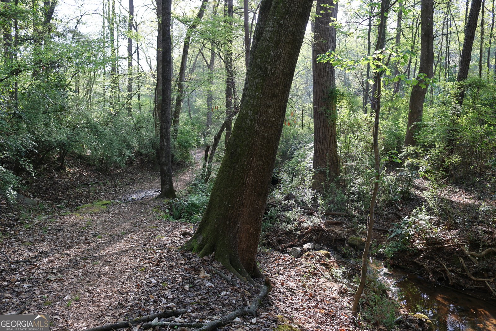 134 Fernbanks Court Athens - Photo 38