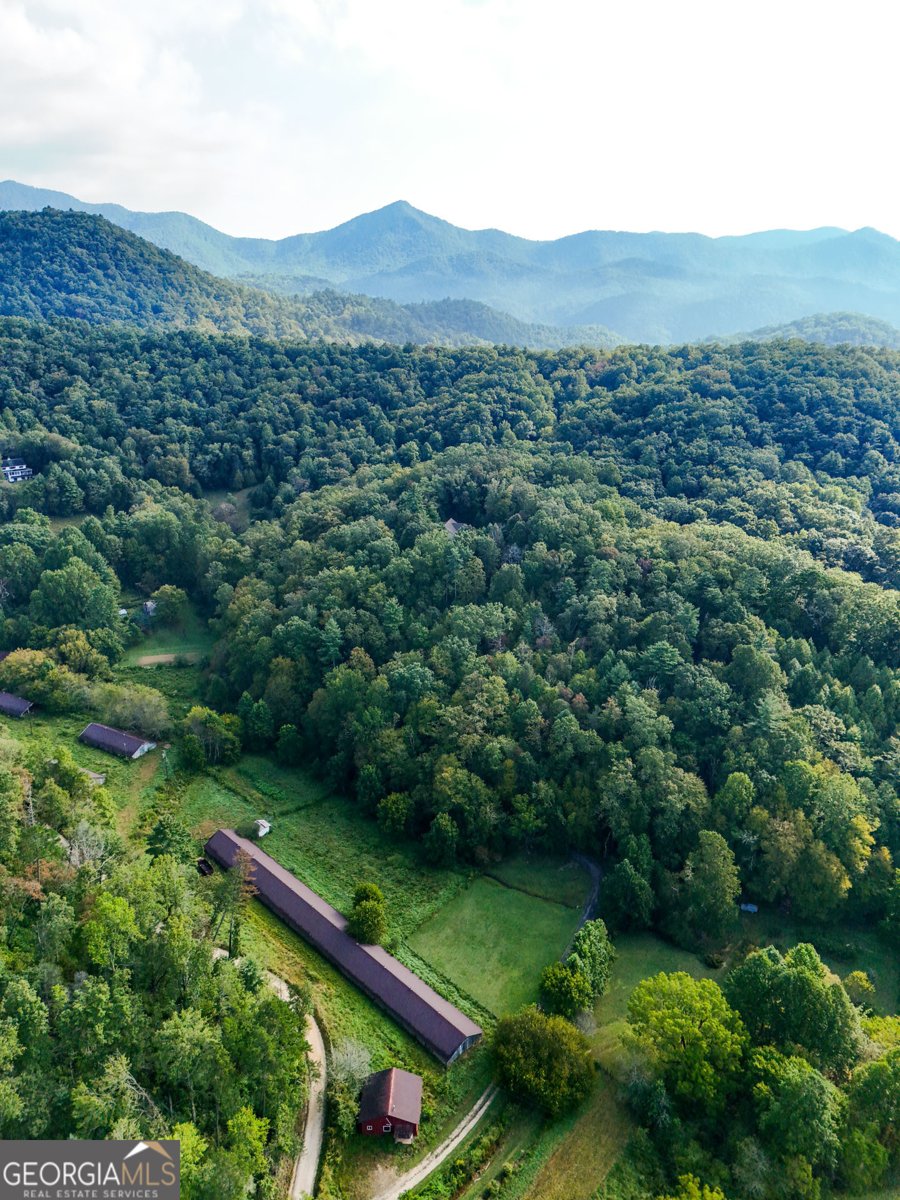 1068 Coleman River Road Clayton - Photo 78