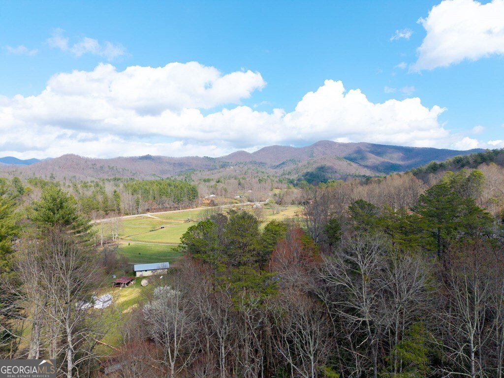 1852 Deer Run Circle Hiawassee - Photo 30