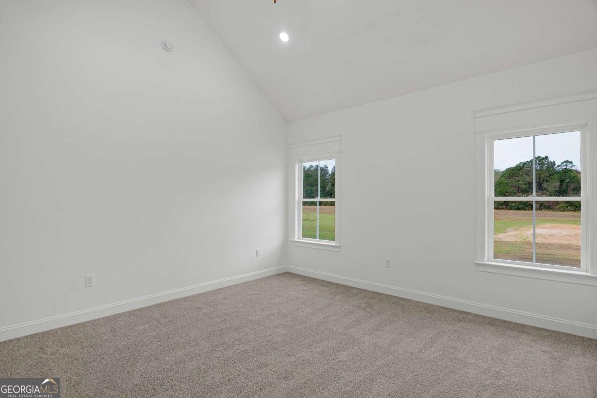 795 S.T. Morris Road Ludowici - Photo 19