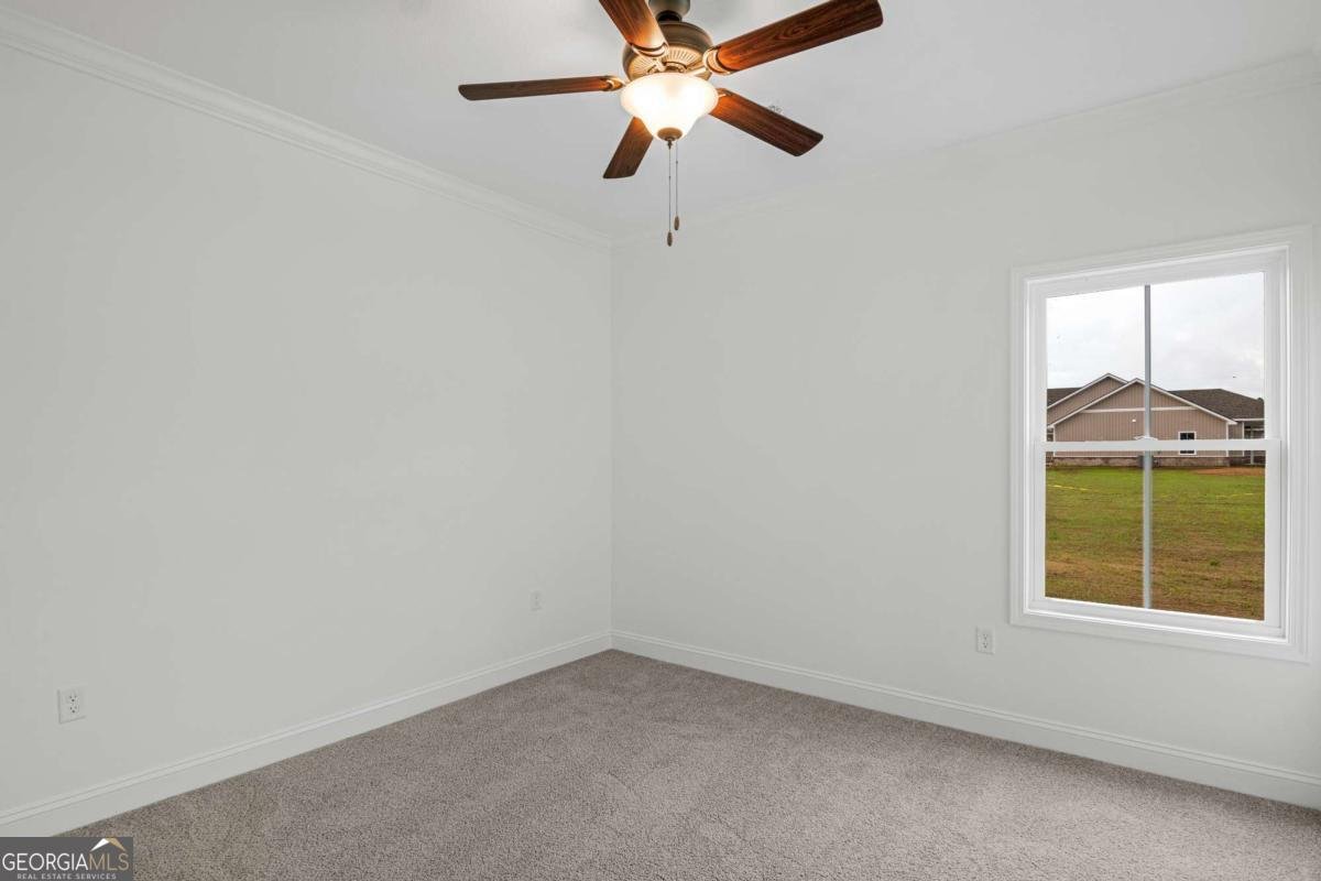 795 S.T. Morris Road Ludowici - Photo 29