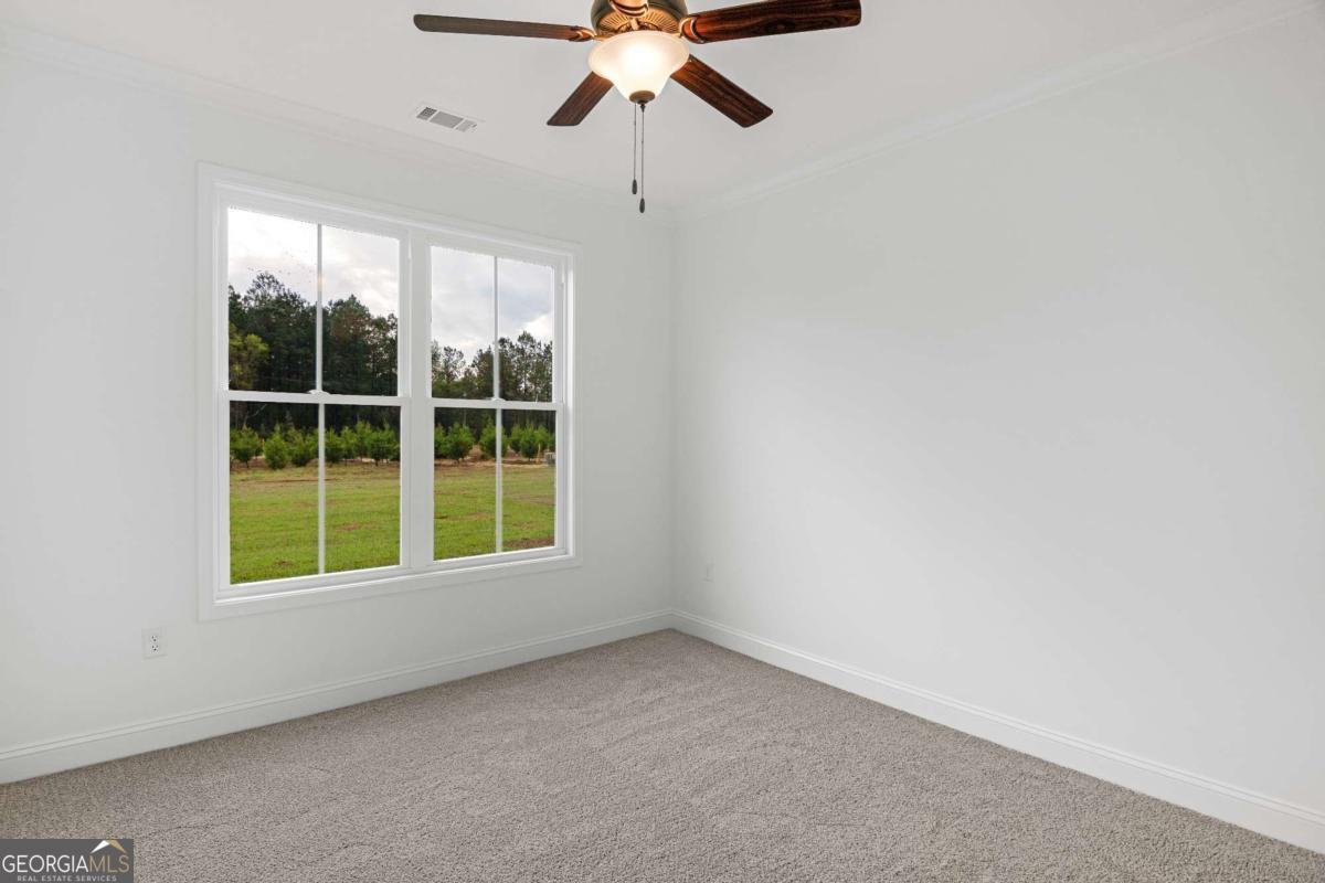 795 S.T. Morris Road Ludowici - Photo 31