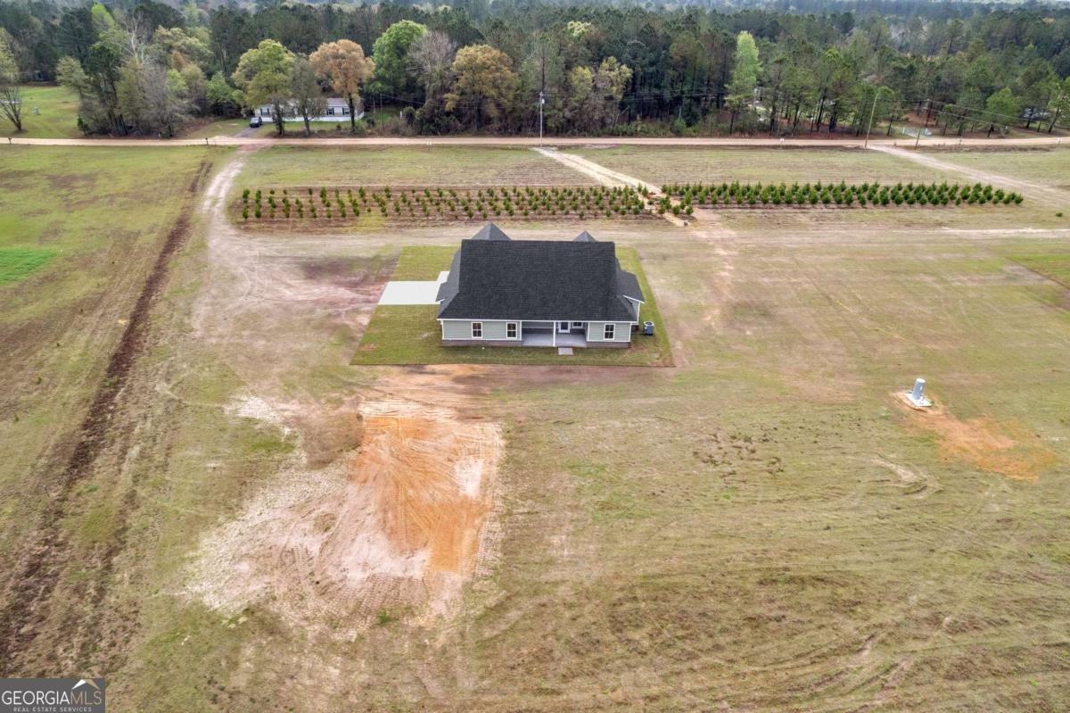 795 S.T. Morris Road Ludowici - Photo 36