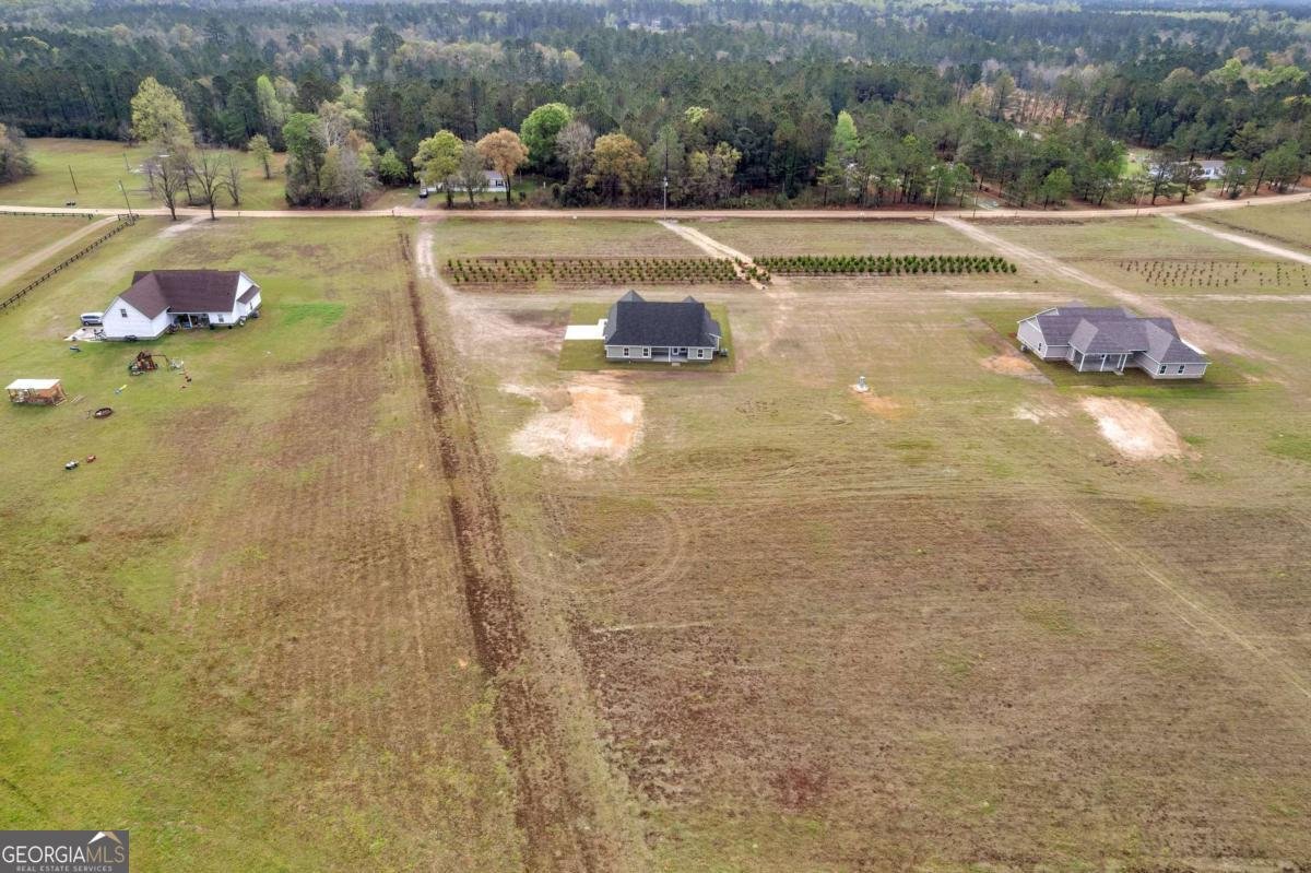 795 S.T. Morris Road Ludowici - Photo 37