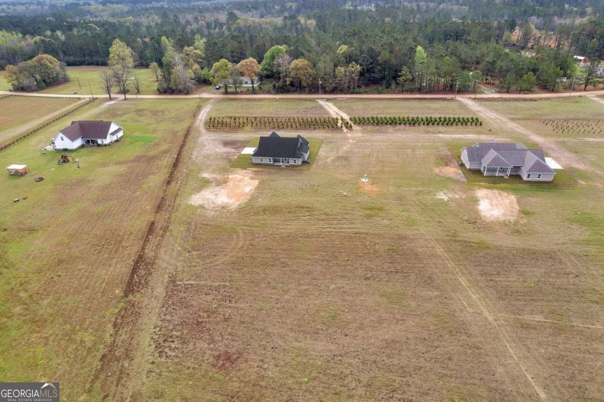 795 S.T. Morris Road Ludowici - Photo 38