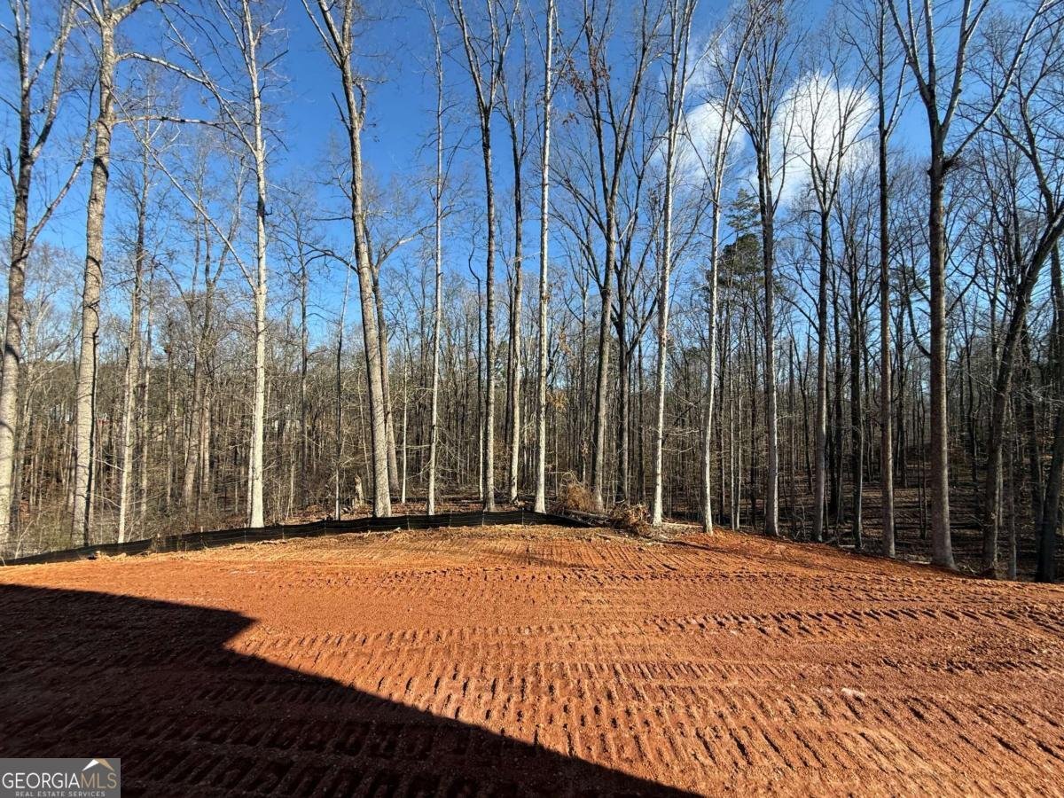 91 LENTEN ROSE Lane Pendergrass - Photo 18