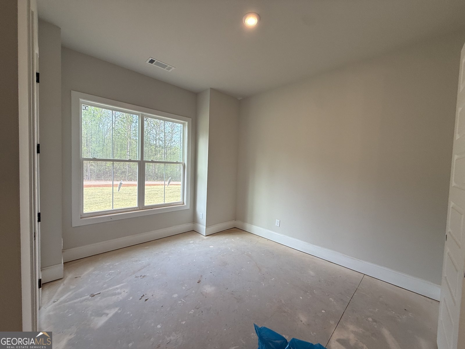 91 LENTEN ROSE Lane Pendergrass - Photo 36