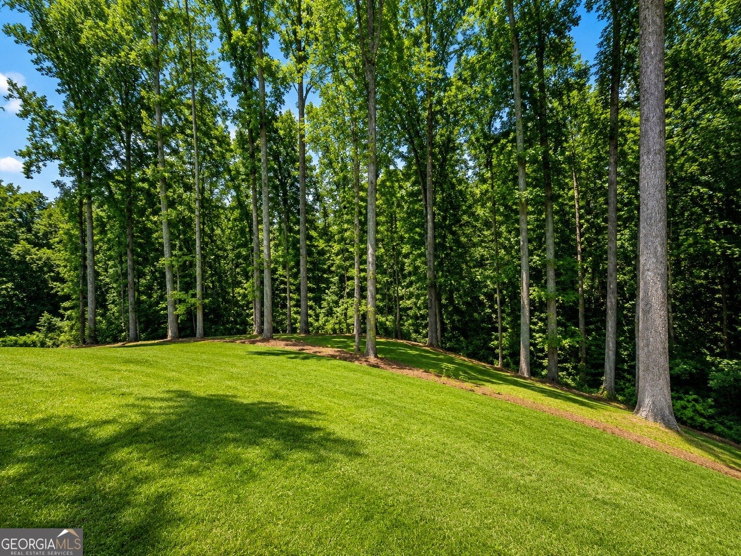 91 LENTEN ROSE Lane Pendergrass - Photo 48