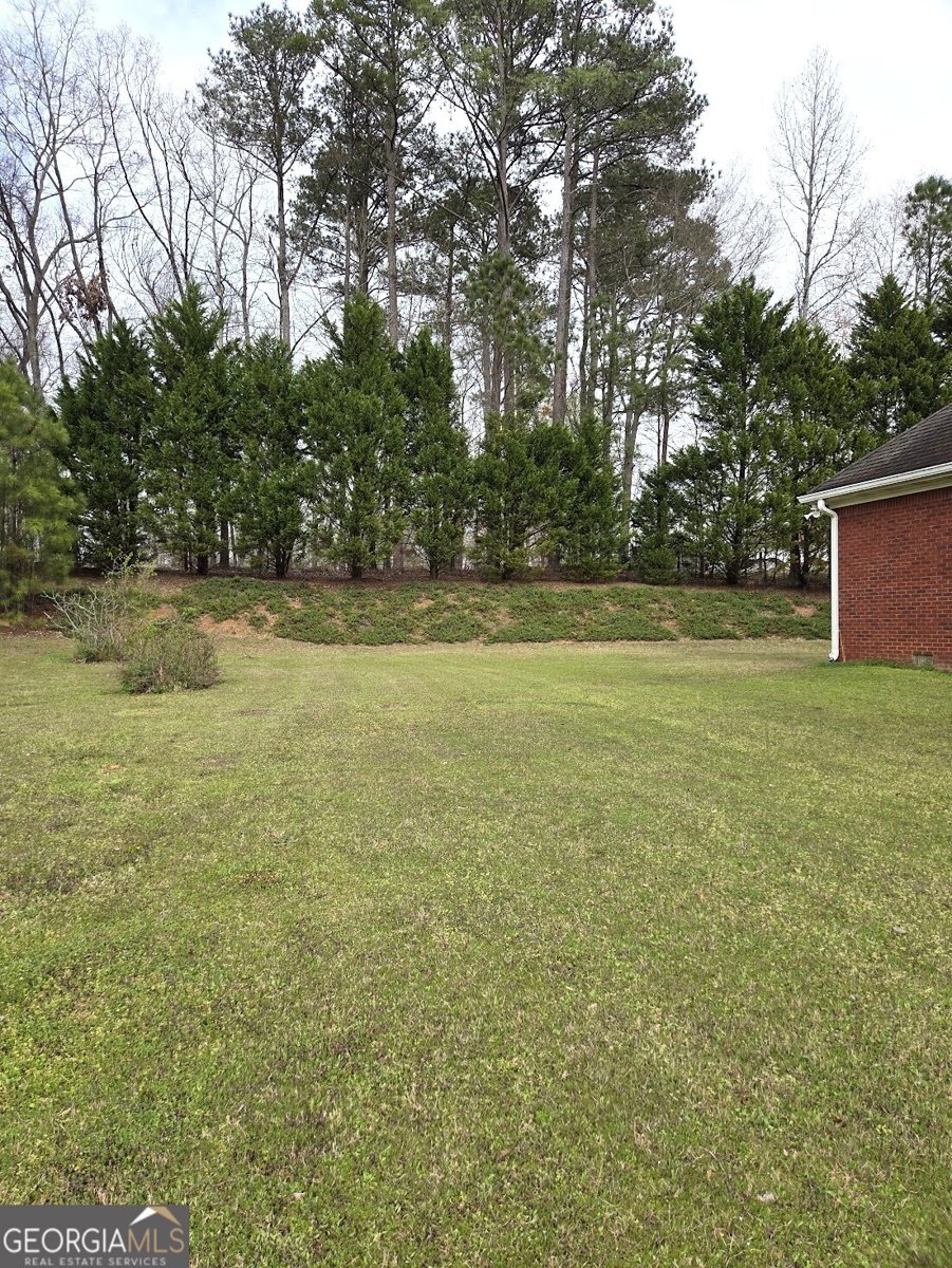 1345 Humphries Road Conyers - Photo 32