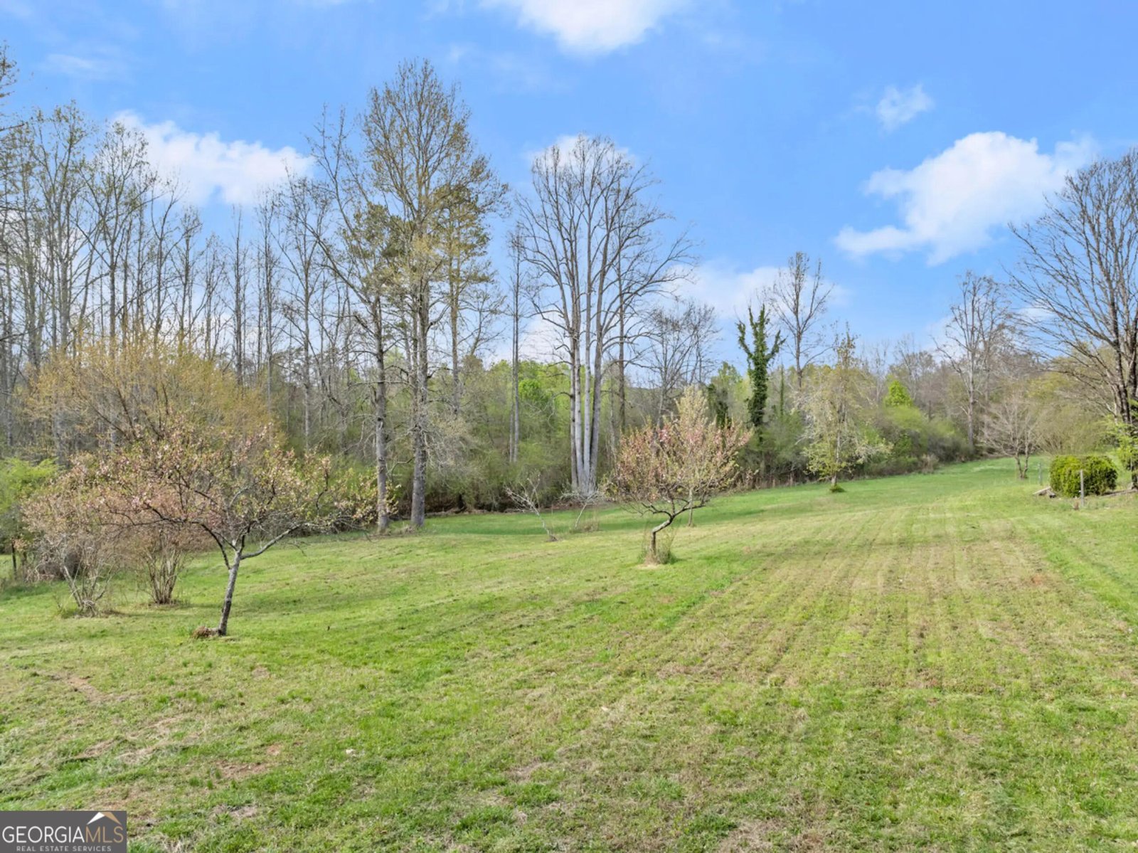 3967 C Loggins Road Gainesville - Photo 7