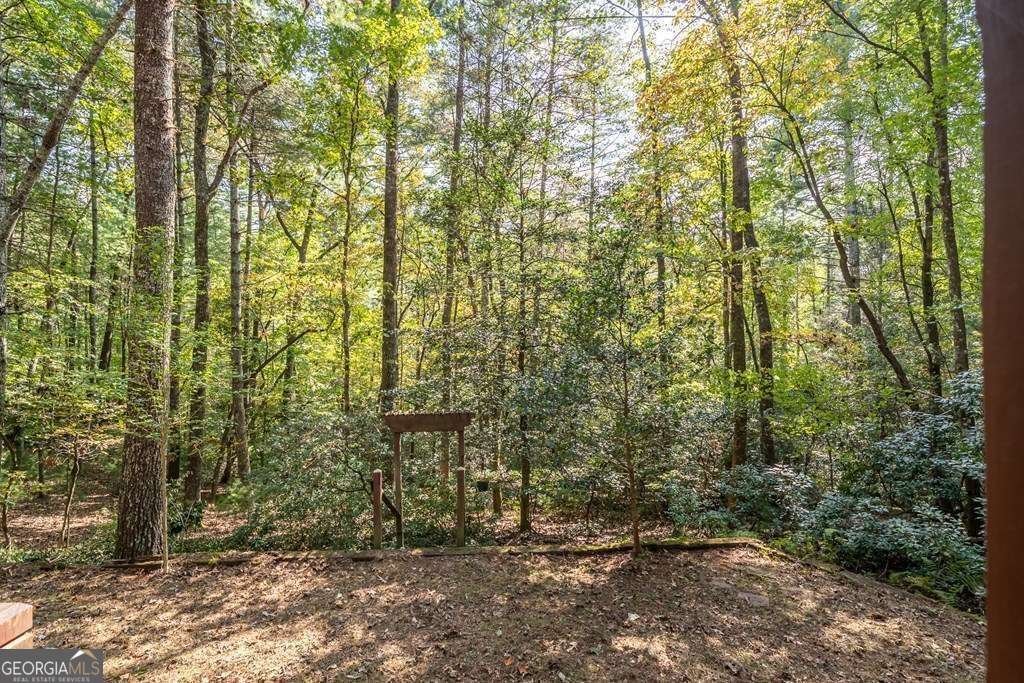 804 Pocaset Drive Ellijay - Photo 21